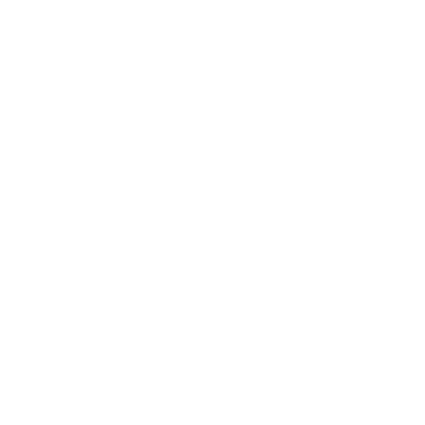 WordPress verkkosivujen ammattilainen
